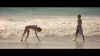 Filename=hbk-captures_227.JPG
Filesize=36KB
Dimensions=768x432
Date added=Jul 21, 2008 hbk-captures_227.JPG